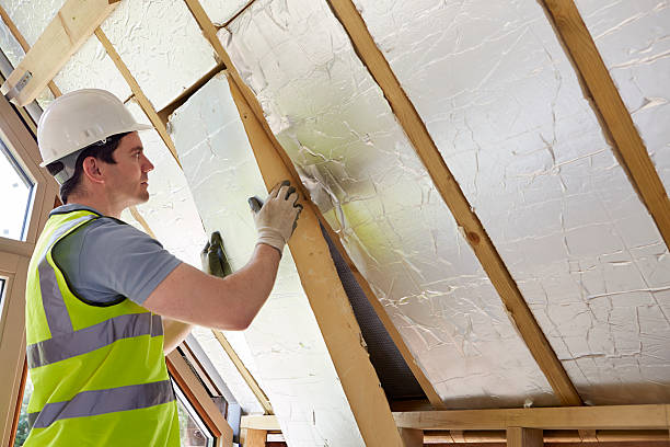 Best Insulation Replacement Services  in Tonopah, NV